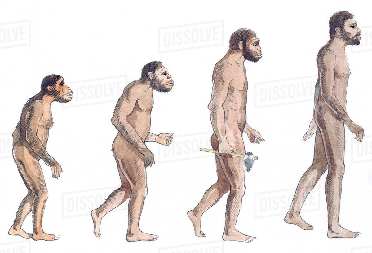 Evolution