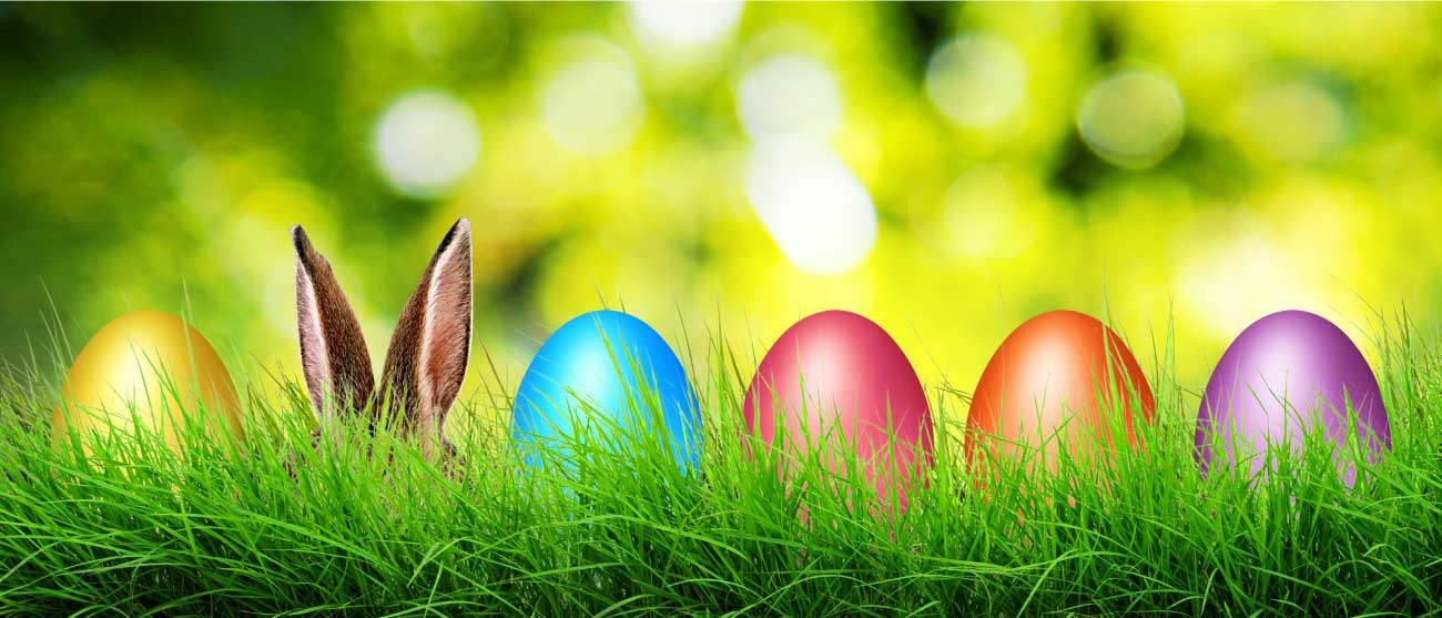 eater-bunny-and-eggs
